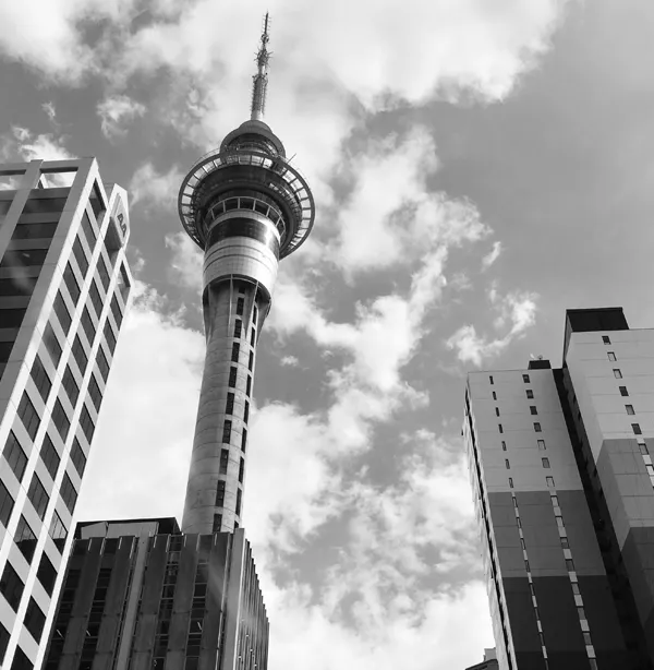 Commercial-Property-Accountants-Who-Understand-Your-World